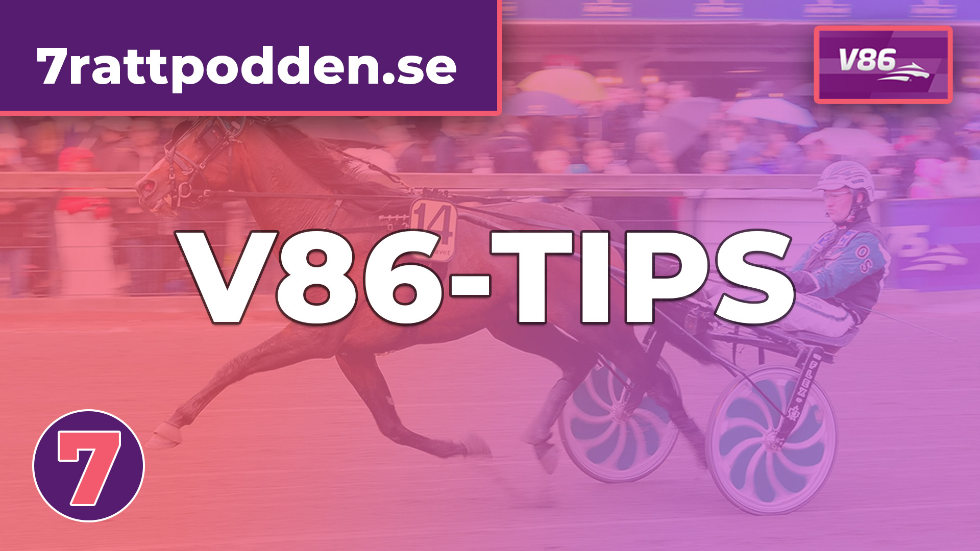 V86 – 21/2: Åby/Solvalla med fin Jackpot!